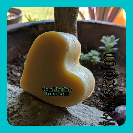 Carrot Tea Tree Soap Bar