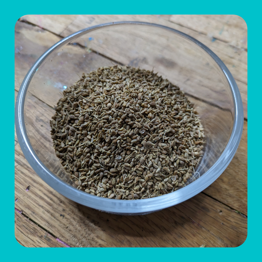 Anise Seed