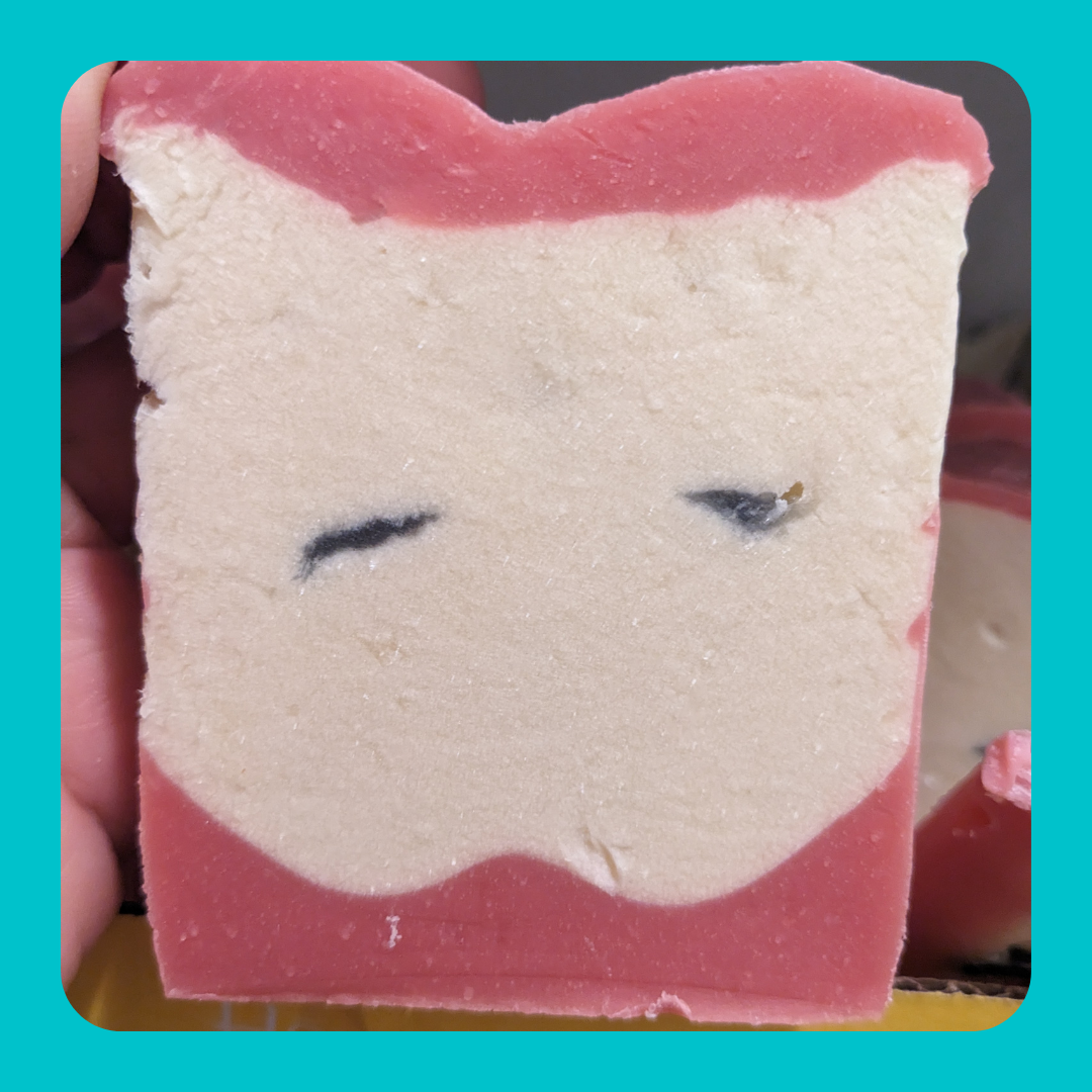 Apple Cider Soap Bar