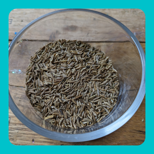 Caraway Seed