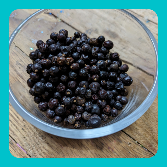 Juniper Berries Tea